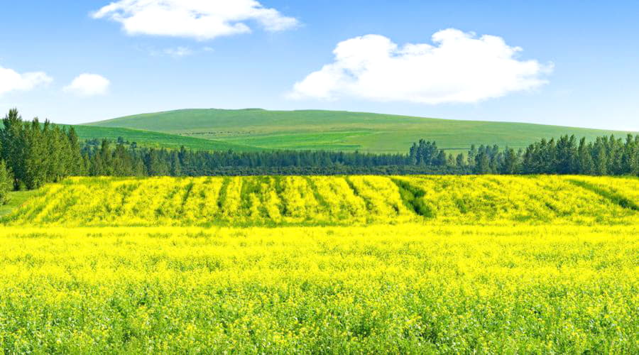 Le migliori opzioni di noleggio auto a Chengde